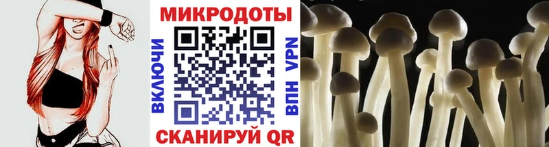 Галлюциногенные грибы Cubensis  площадка официальный сайт  Сретенск 
